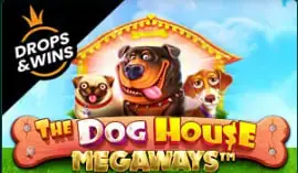 dog house megaways slot
